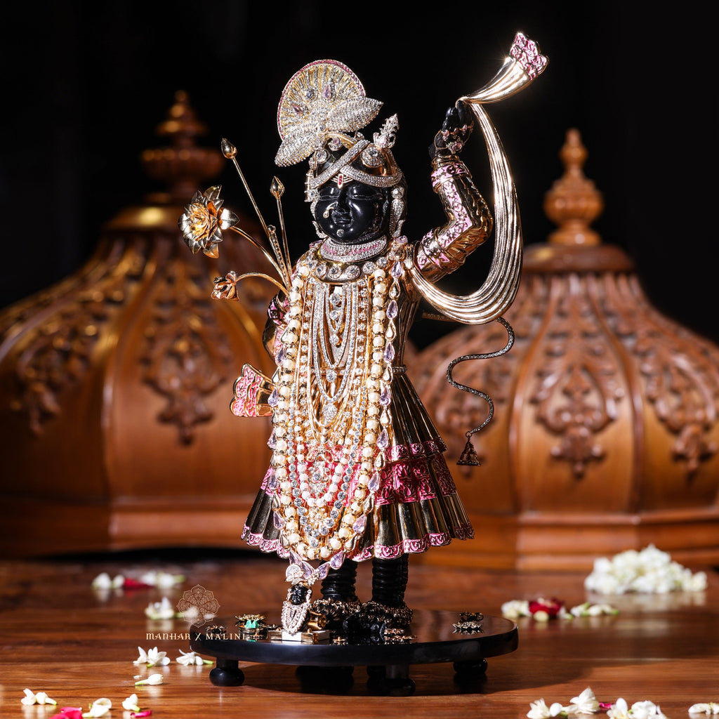 Shrinathji